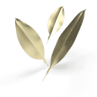 balancing-image